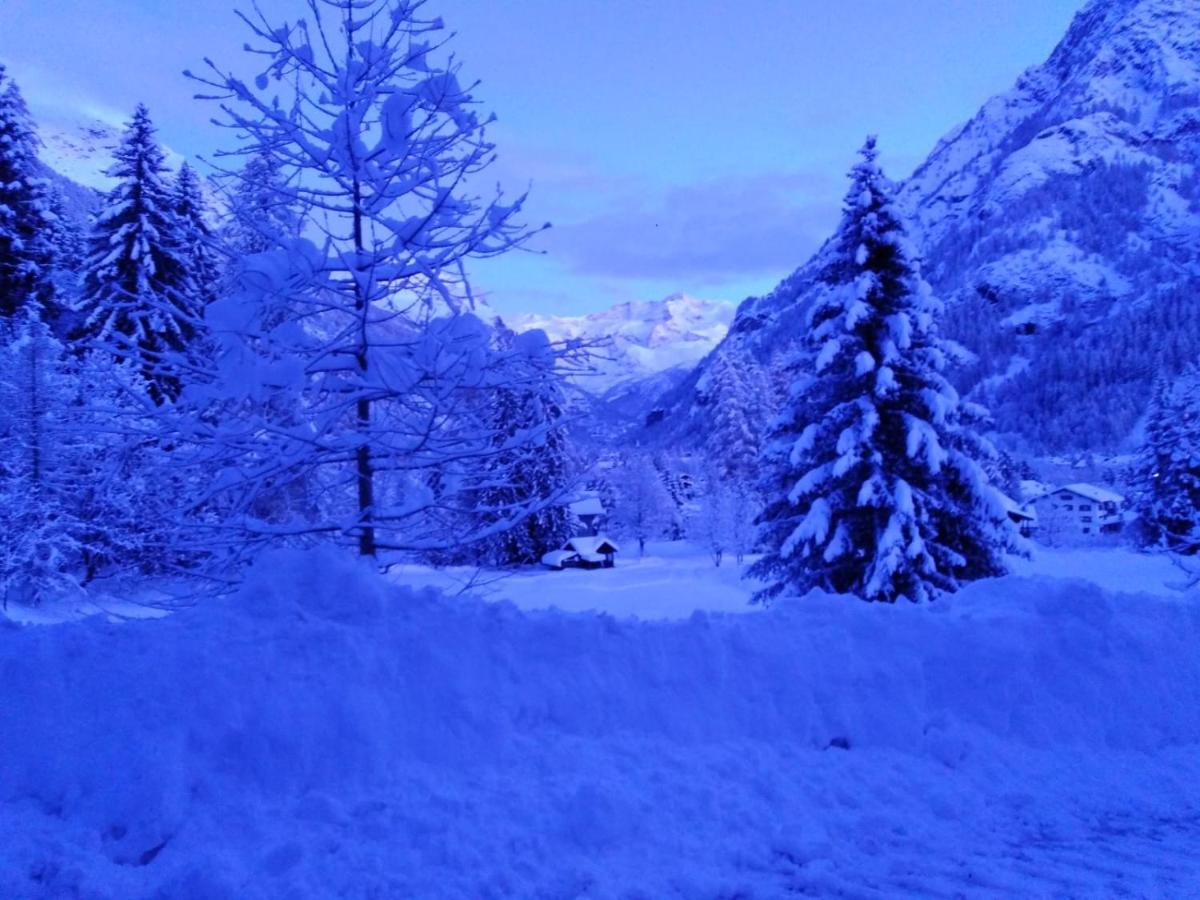 Appartement Quadrifoglio Gressoney-Saint-Jean Dış mekan fotoğraf